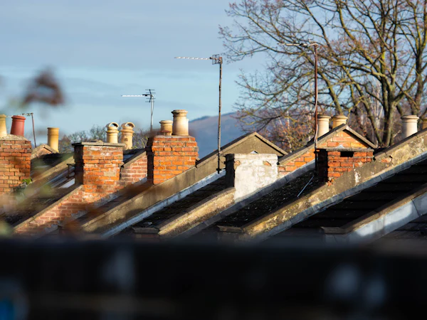 A run of terraced roofs, each with its own brick stack and pots