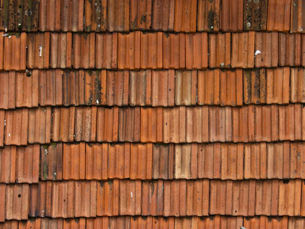 Weathered red clay roof tiles, some patched with moss