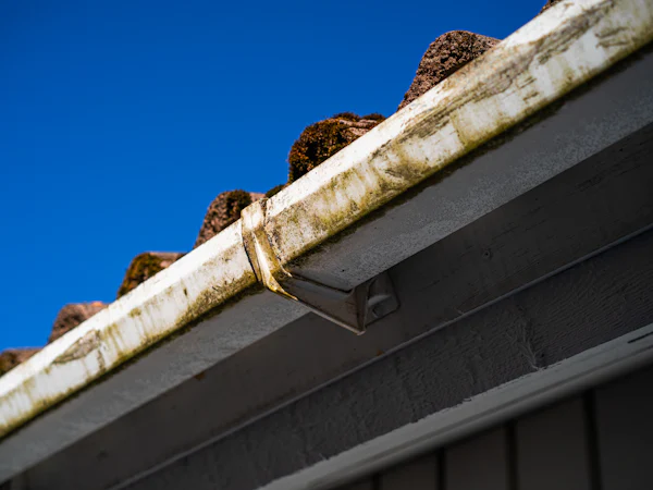 A stained gutter under old moss-covered roof tiles