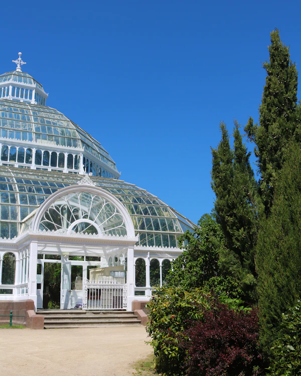 A Victorian glass palm house among trees under a blue sky