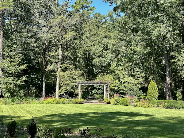 A striped lawn running up to a pergola in front of mature trees