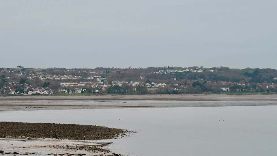 A hillside town of houses and trees across a wide estuary at low tide