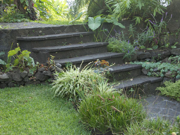 Dark stone steps rising through ferns, grasses and a small lawn