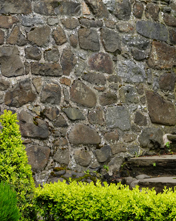 Stone steps rising beside a rough stone wall, low hedging at its foot