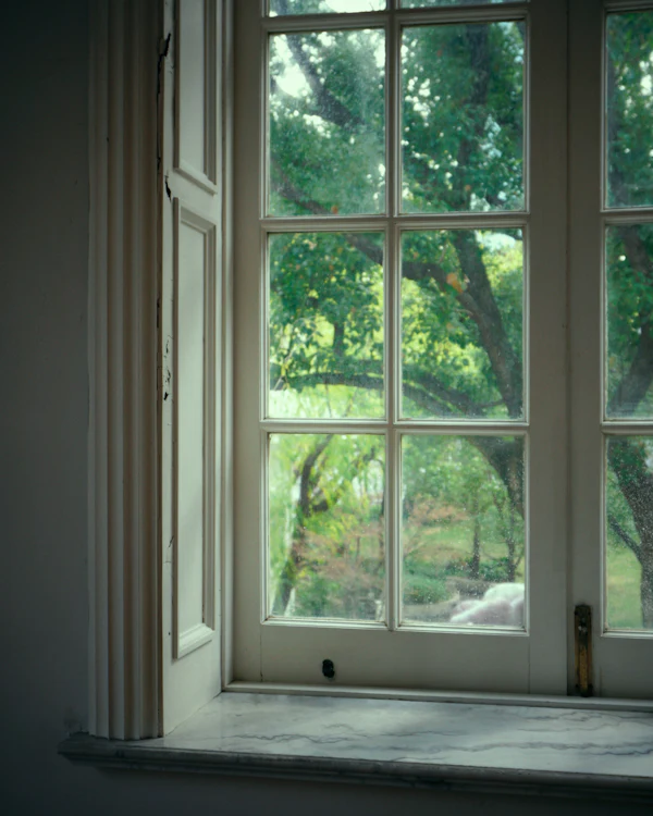 After: a freshly painted white sash window with its shutter box beside it and green trees outside