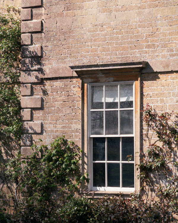 A Georgian six-over-six sash window in a brick wall with a stone surround, climbing roses round it