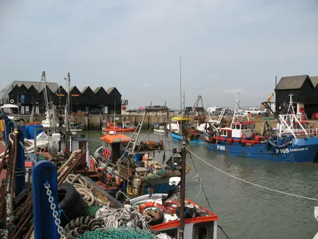 Whitstable harbour: working fishing boats moored against the quay in front of the black timber sheds.