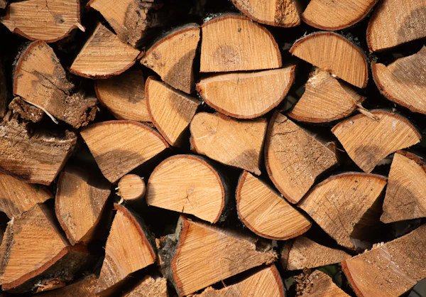 Split hardwood logs stacked to season