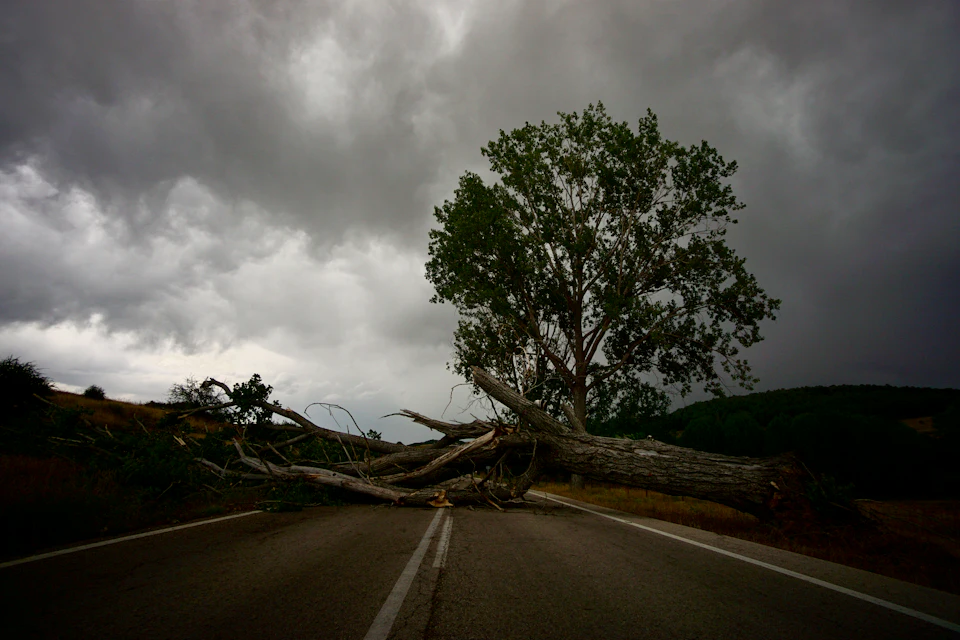 A tree brought down across a country road under a dark storm sky