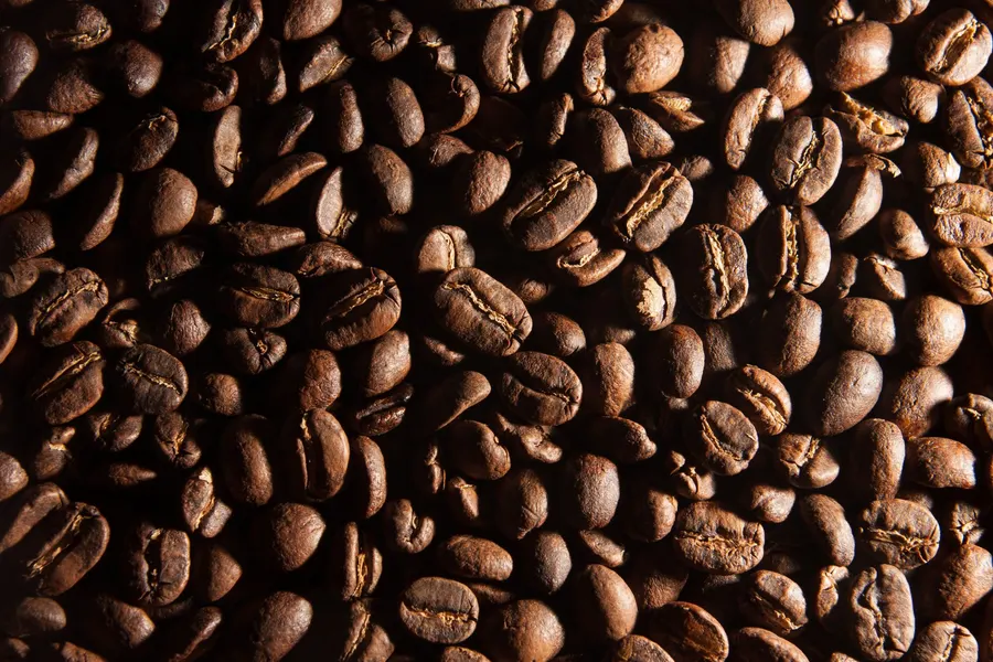 The roastery.